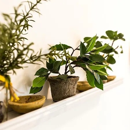 Siciliacasevacanze - La Mancina Hébergement de vacances